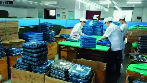 Lao động tổng hợp